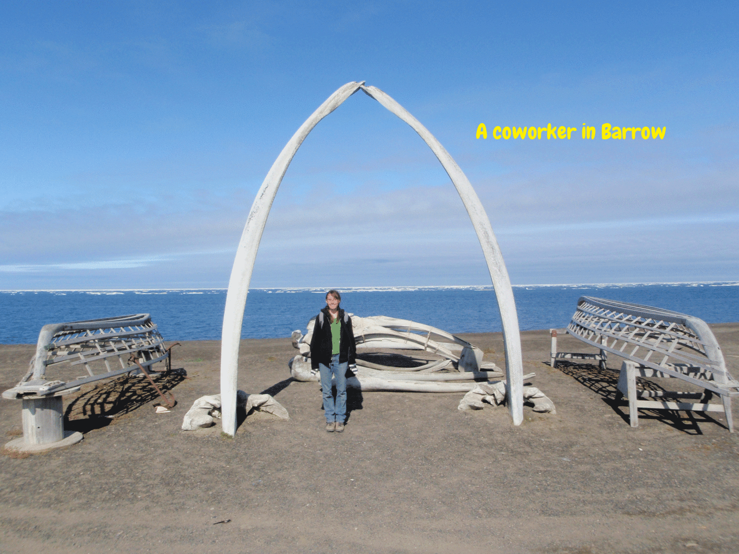 Barrow-Expedition---Sundance---2009-P8010107.gif