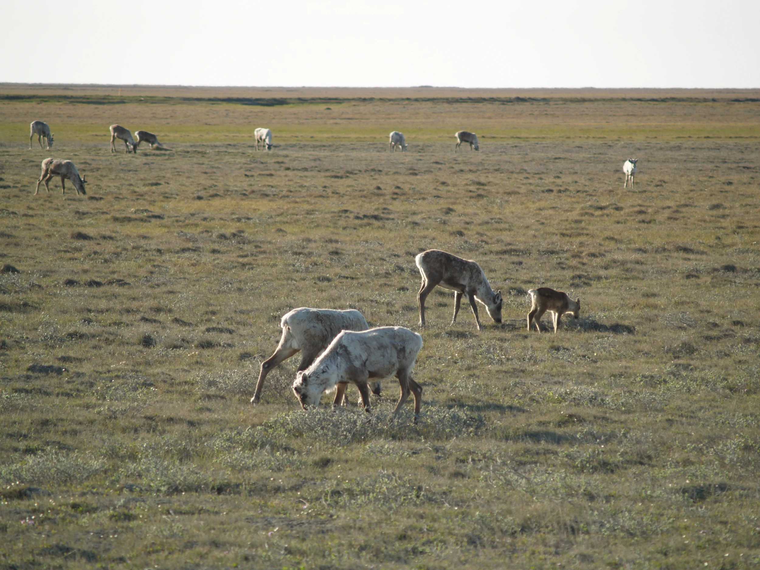 P1011839.JPG
