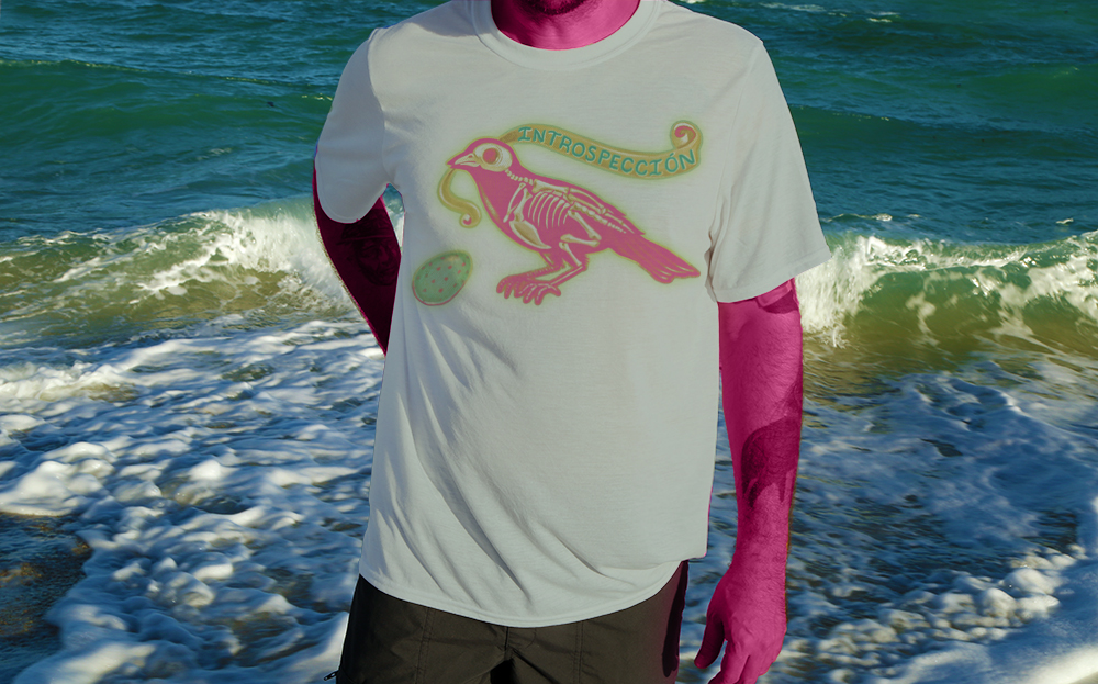 Haughtee Suave Introspección (Introspection) Bluebird X-Ray Fine Art Print Tee