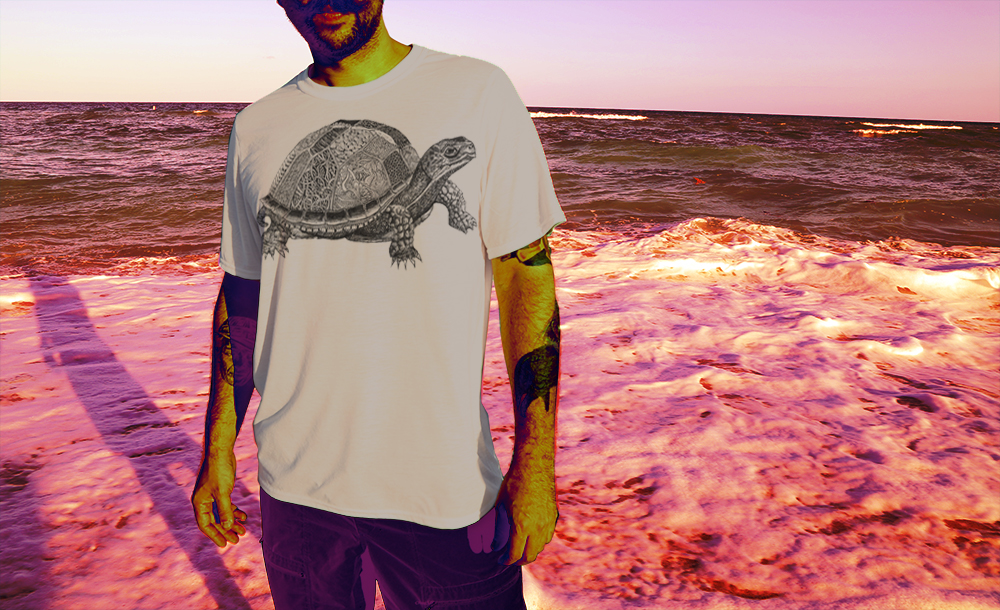 turtle-beige-jake-strouse.jpg