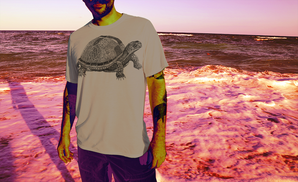 turtle-brown-jake-strouse.jpg