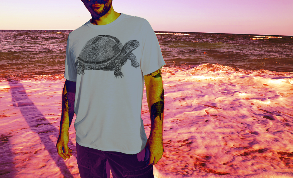 turtle-grey-jake-strouse.jpg