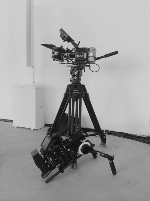 BTS_WEBSITE-2.jpg