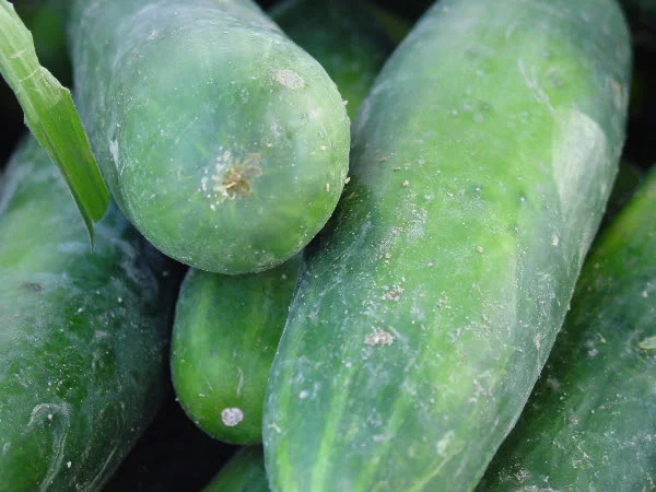 Cucumbers