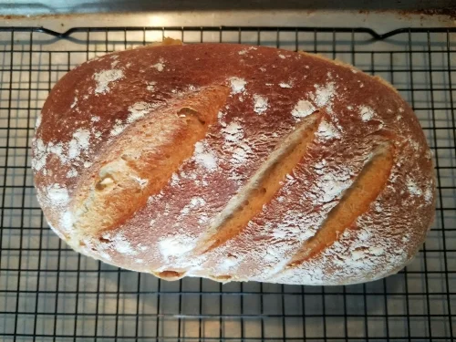 Whole wheat flax, oat and sunflower seed bread. Image belongs to BetsyCoxHealth 