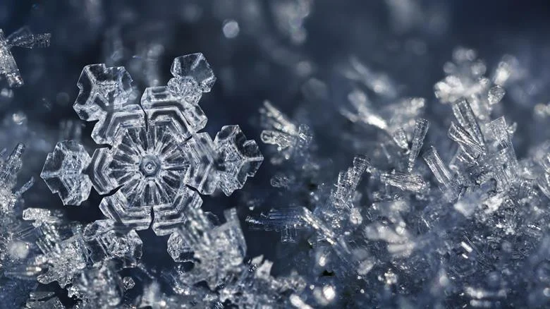 134454_shutterstock_225171904-crop snowflake.jpg