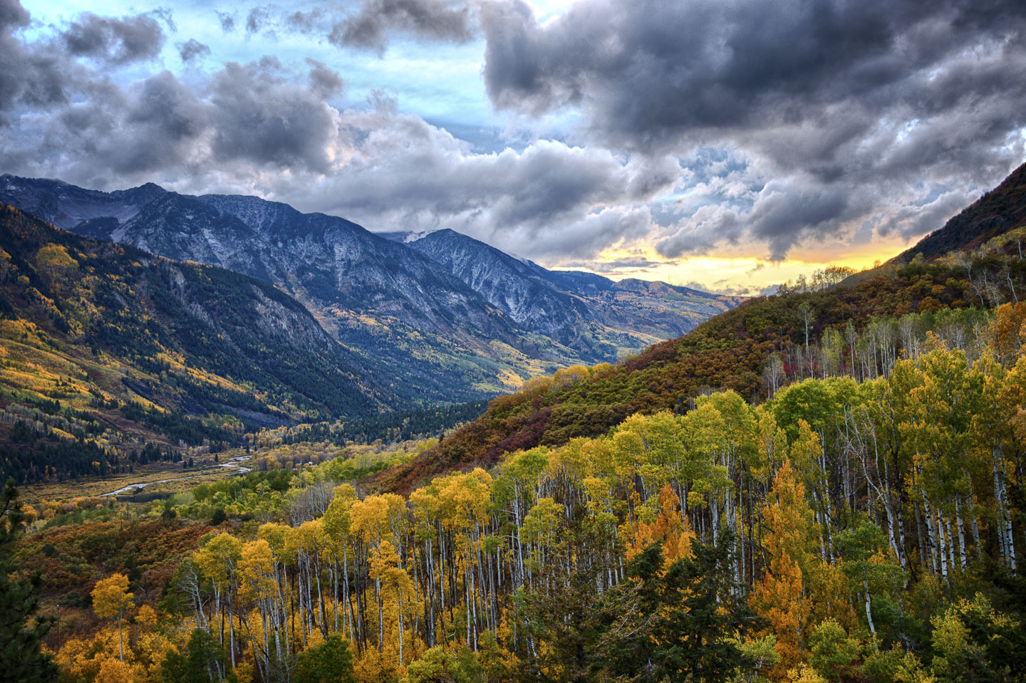 colorado-autumn-aspens09.jpg