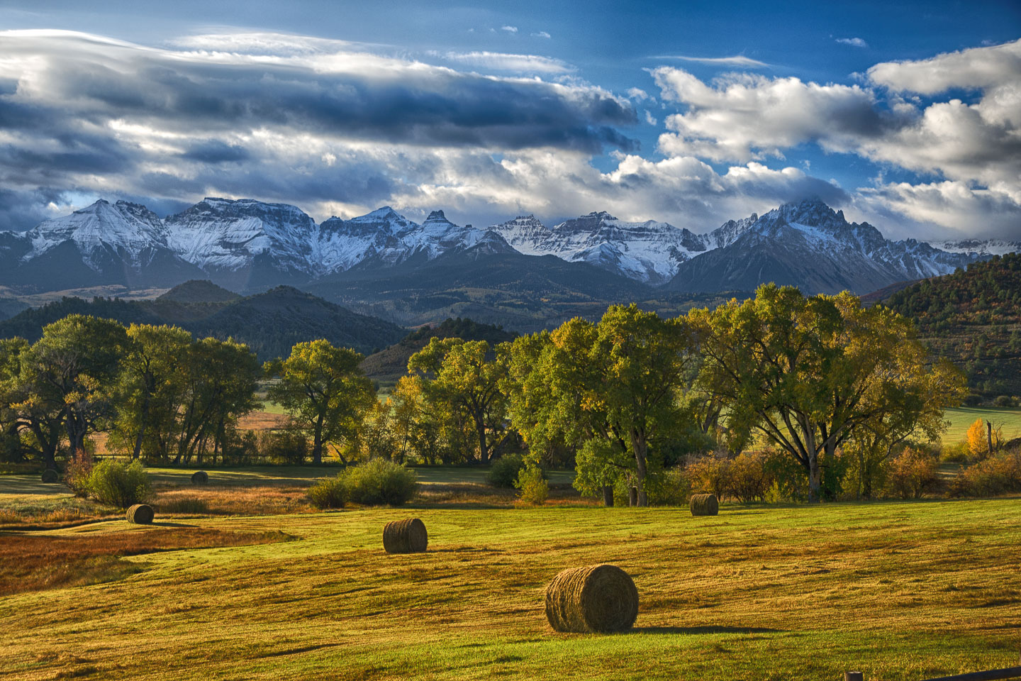 colorado-autumn-aspens14.jpg