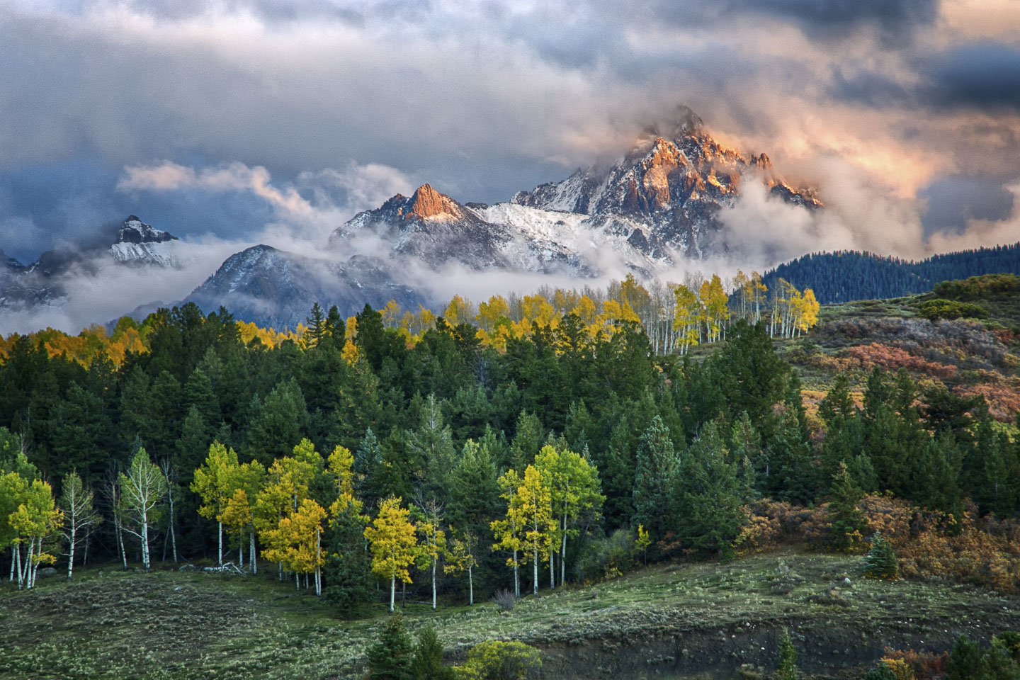 colorado-autumn-aspens17.jpg