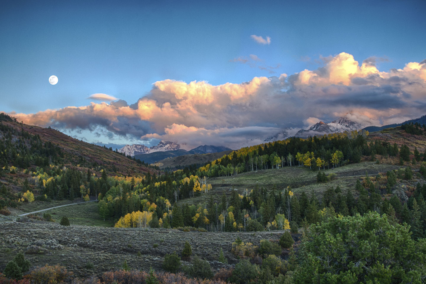 colorado-autumn-aspens18.jpg