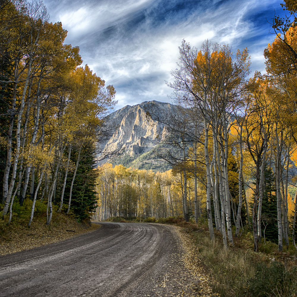 colorado-autumn-aspens20.jpg