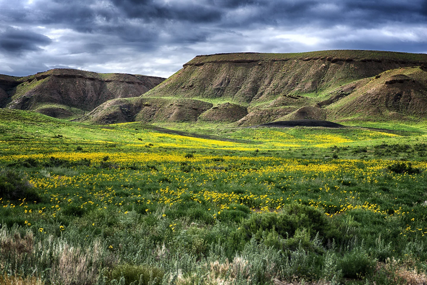 western-colorado23.jpg