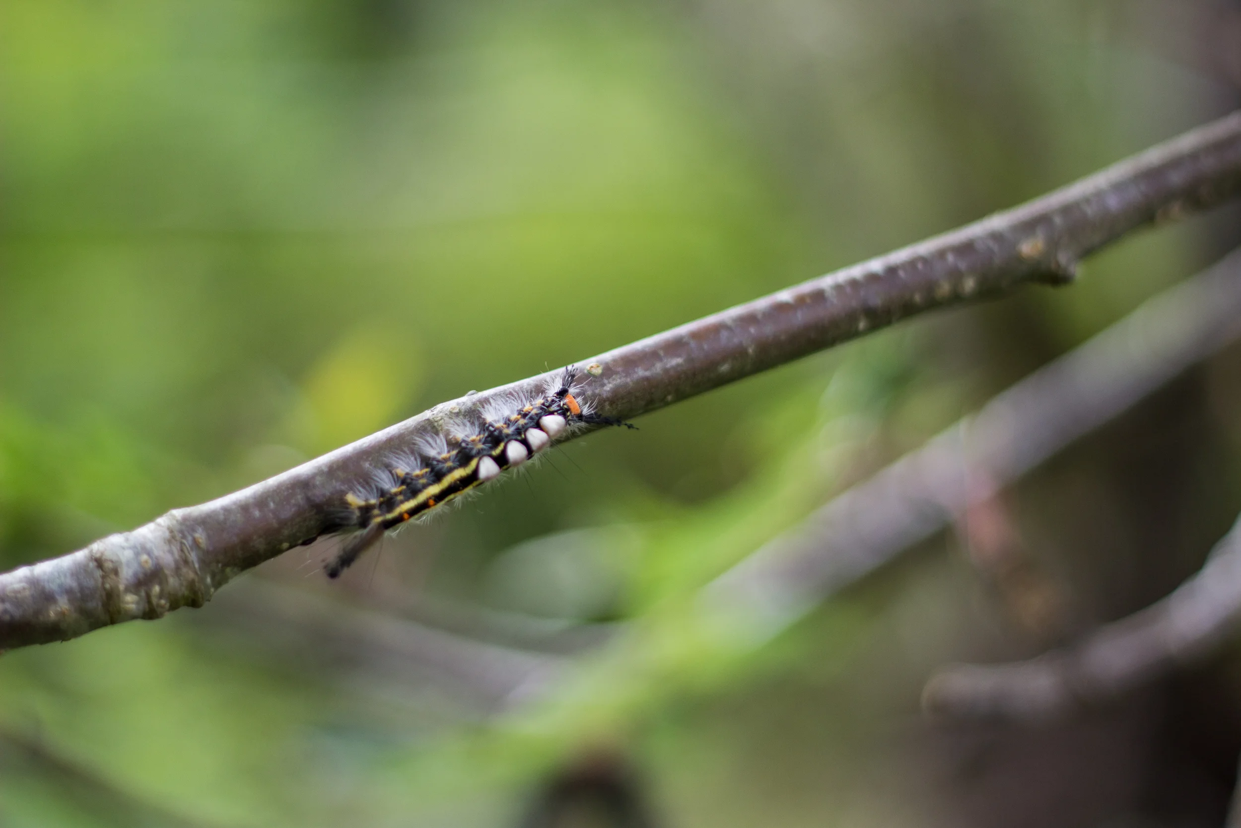 _MG_9555.jpg