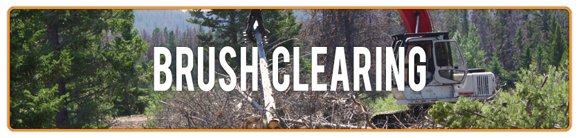 brush-header.png