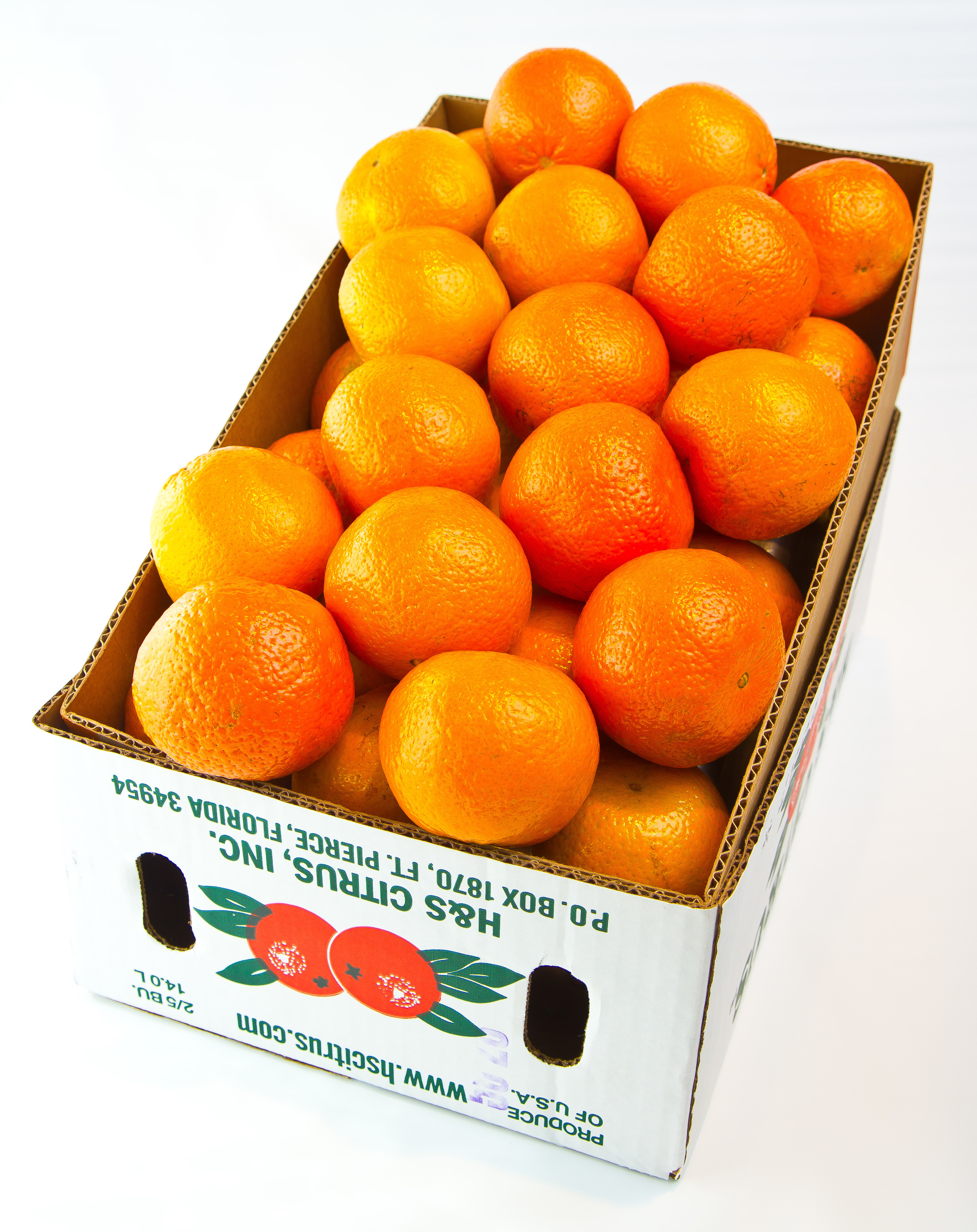 temples-box1.jpg