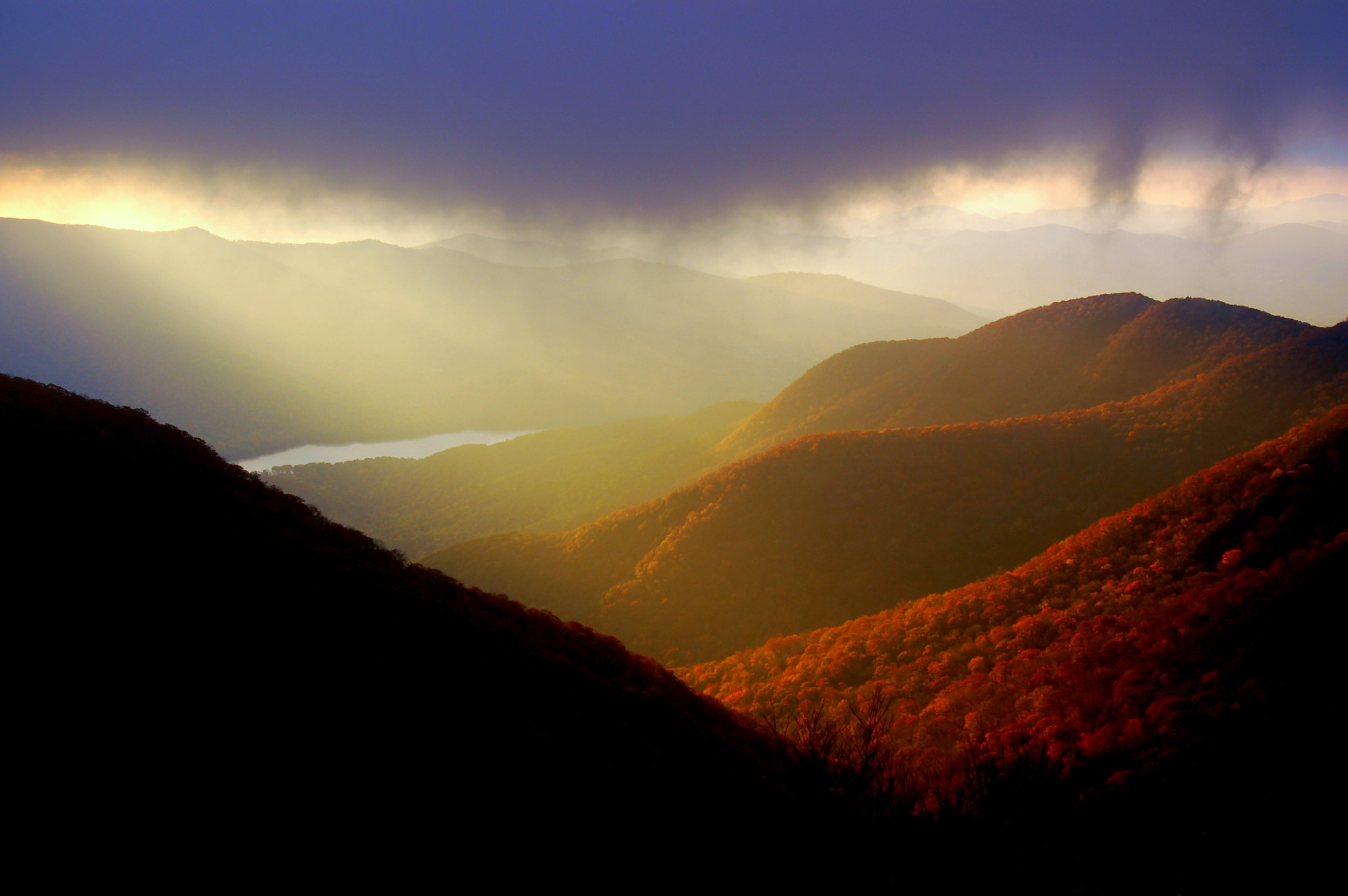 AdobeStock_1549039.jpeg