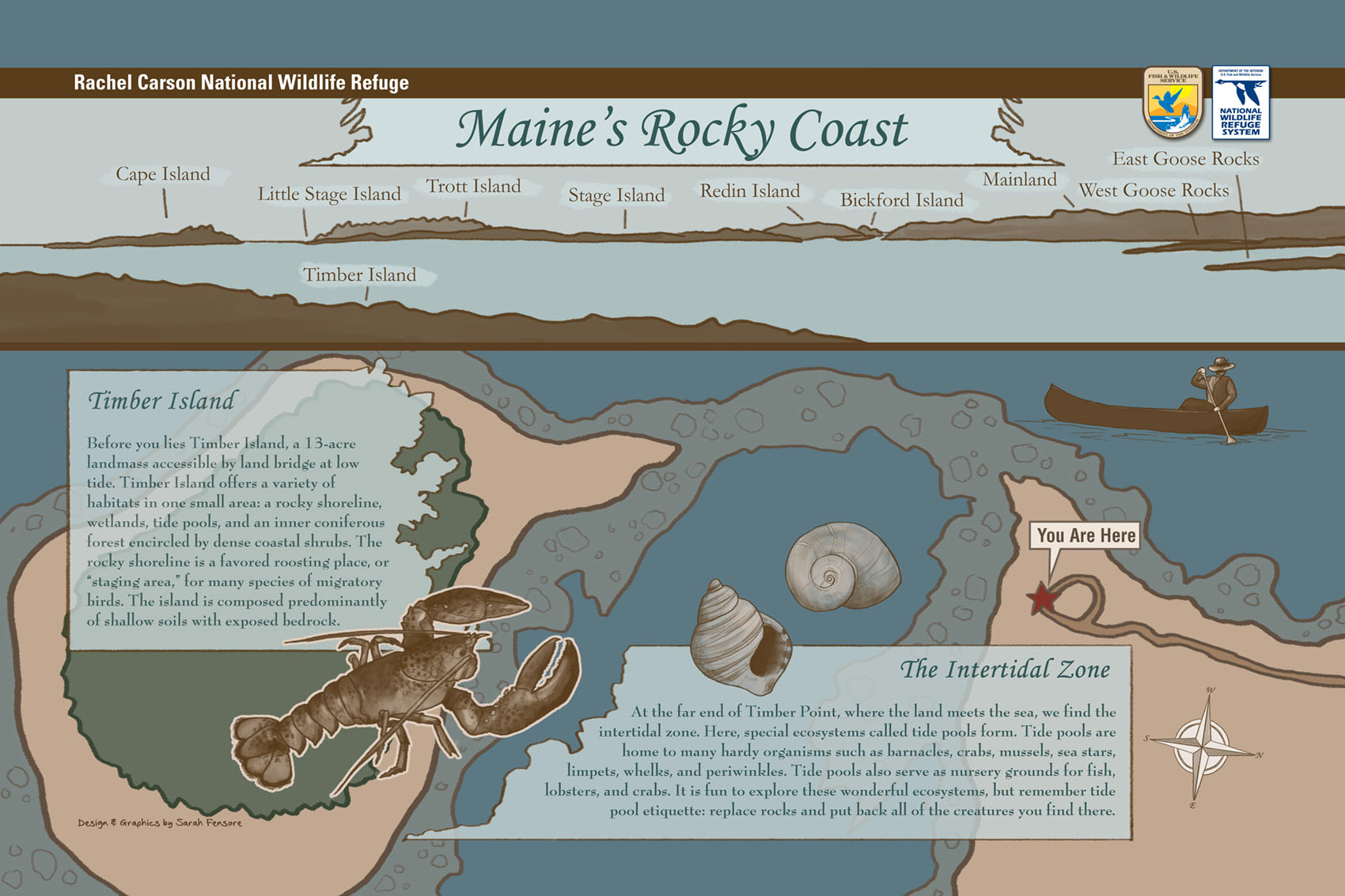 Timber Point Trail Interpretive Sign 2