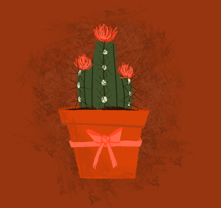 Blooming Cacti - 2014