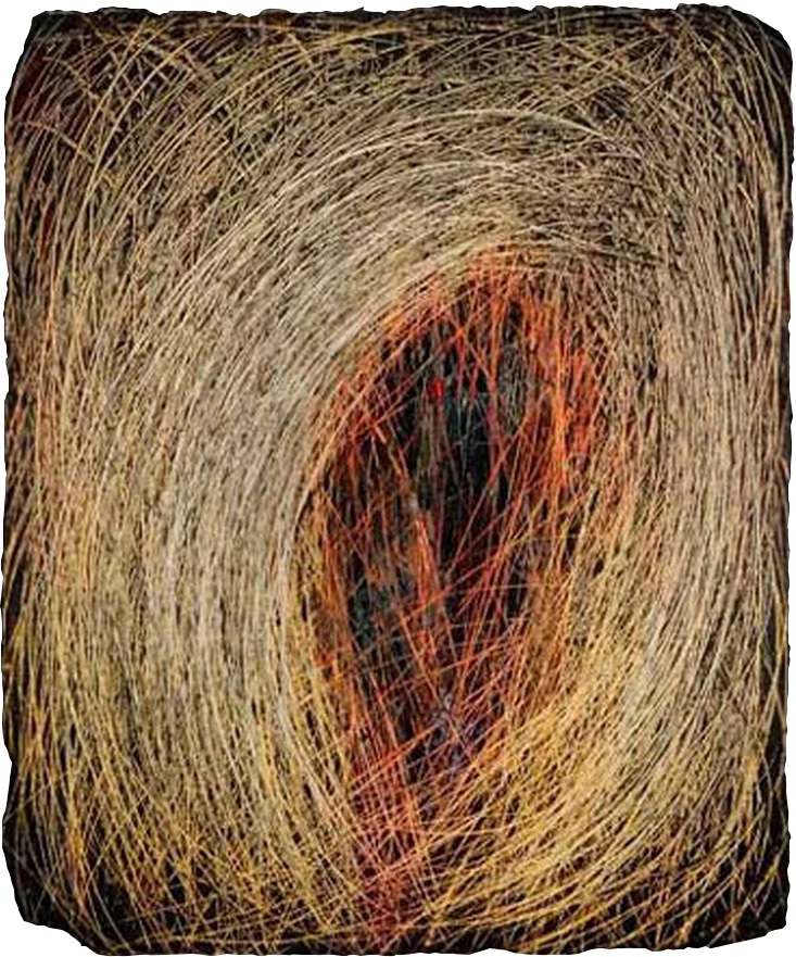 Series 1 Witness of the Unconscious