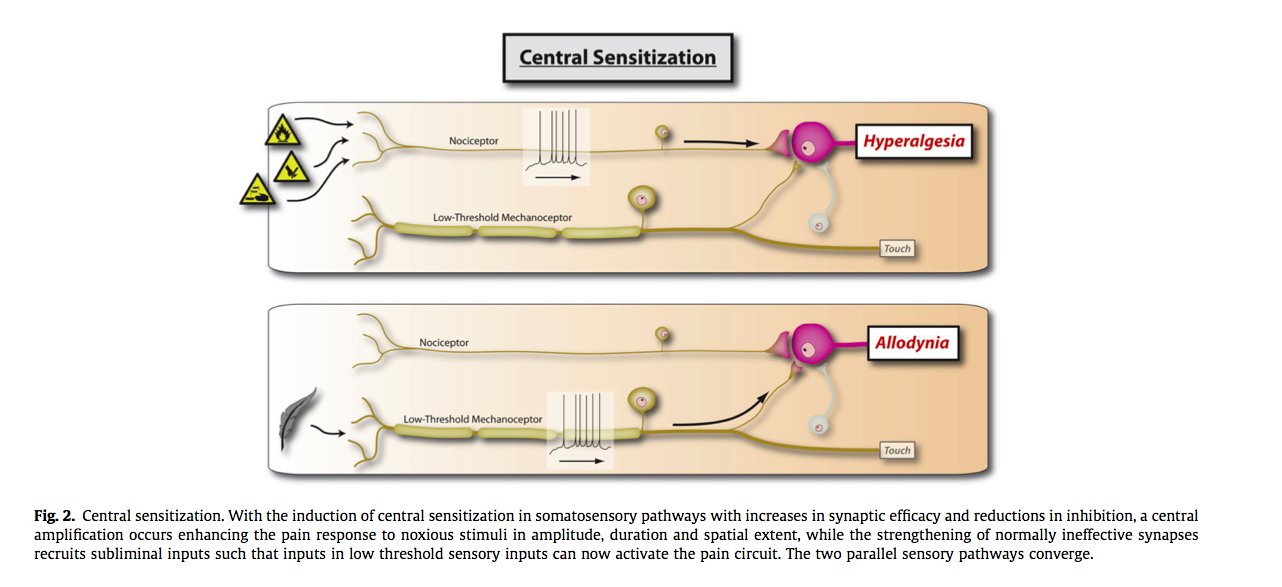 (Woolf, 2011, p. S4)
