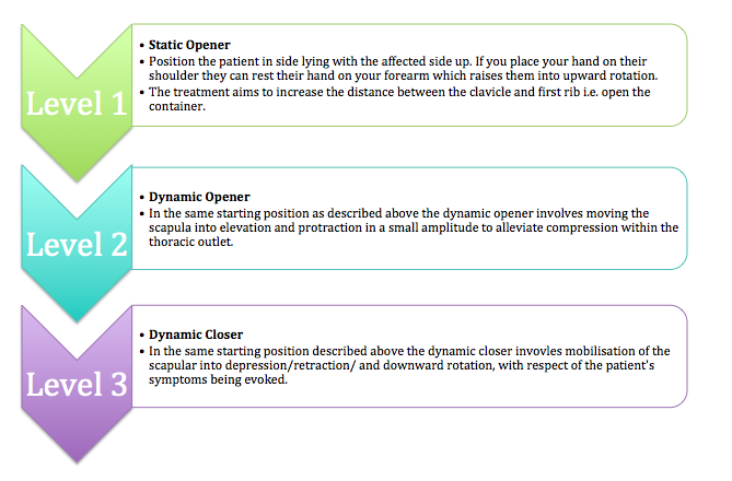 Adapted from, Shacklock M, Clinical Neurodynamics, Elsevier, Oxford, 2005.