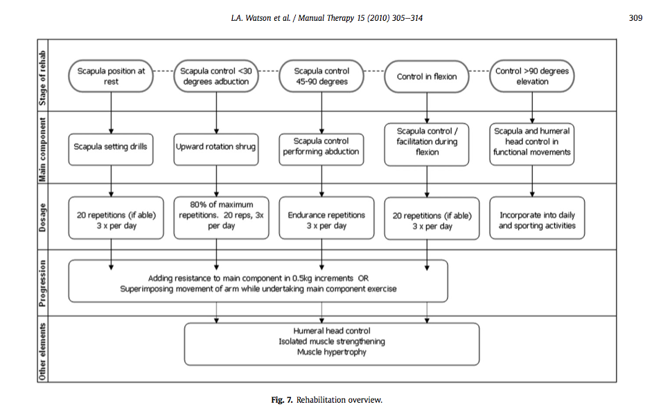 Stages of scapula rehabilitation (Watson, Pizzari &amp; Balster, 2010, p. 309)