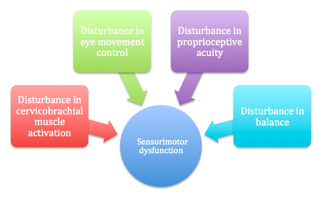 Multiple variables that contribute to the development of sensorimotor dysfunction. 