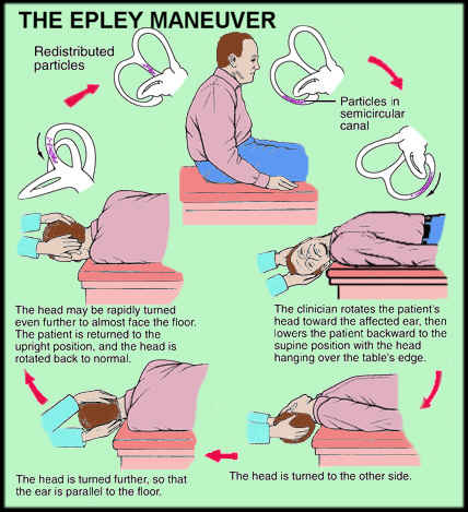 Images courtesy of Google images