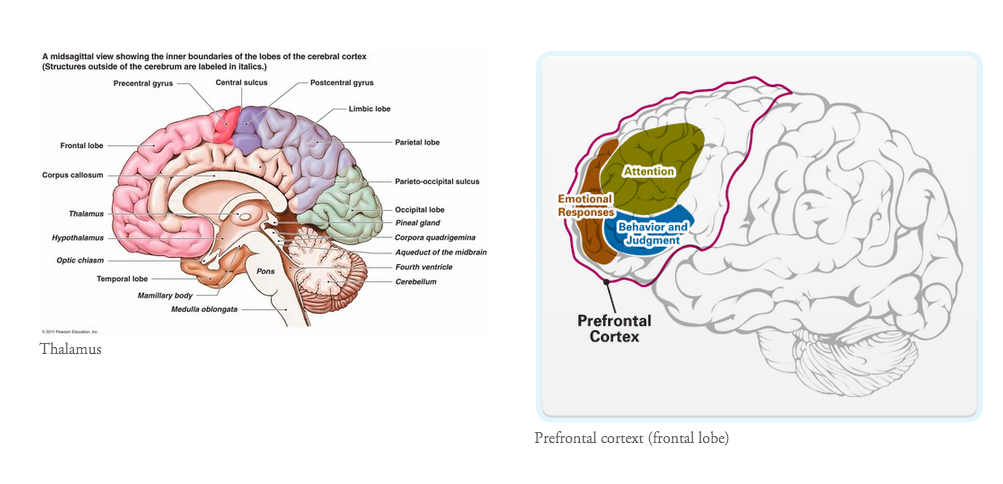 Screen Shot 2015-06-04 at 3.01.11 PM.png