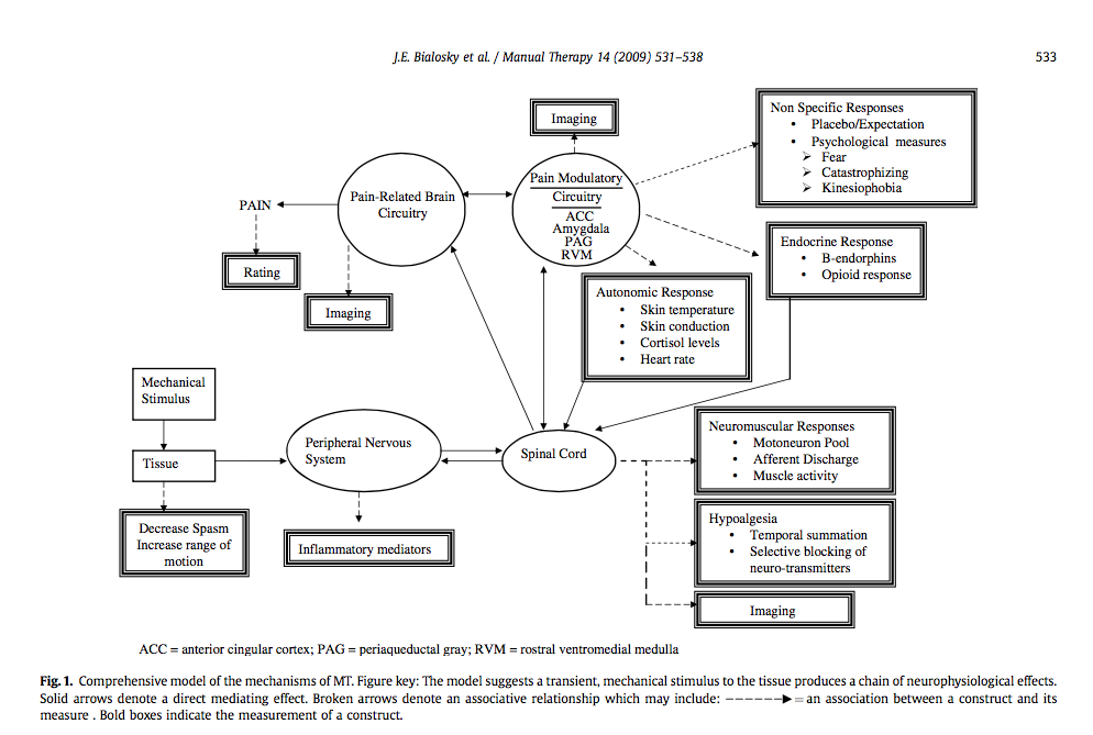 Chain reaction the neurophysiological mechanism of manual therapy
