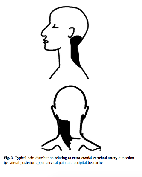 (Taylor & Kerry, 2010, p. 88)