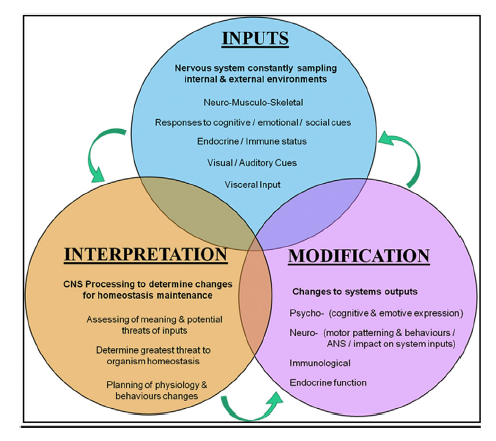 (Jones &amp; O' Shaughnessy., 2014, p. 271)