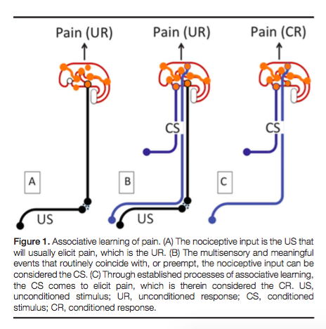 Image left: a visual diagram of precise and imprecise encoding in the Imprecision hypothesis (Moseley & Vlaeyen, 2015, p. 36) Image right: a visual representation of associative learning of pain (Moseley & Vlaeyen, 2015, p. 36)