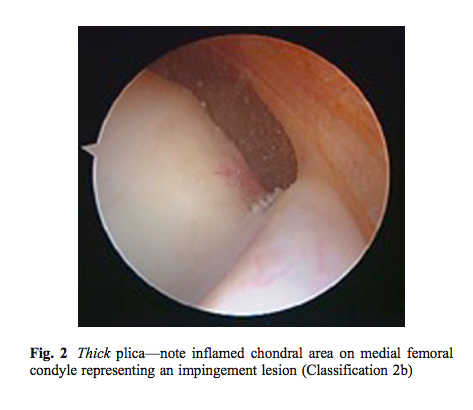 Screen Shot 2015-10-12 at 10.04.58 am.png