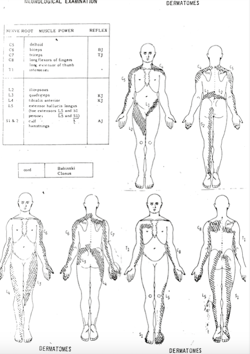Understanding dermatomal patterns for the neurological examination