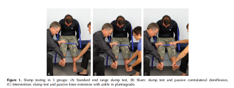 (Shacklock, et al., 2016., E207)