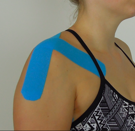 Screen Shot 2016-07-26 at 12.04.48 PM.png