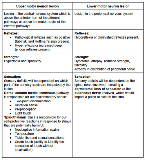 Sensation Testing - Peripheral Nerve Lesion — Rayner & Smale