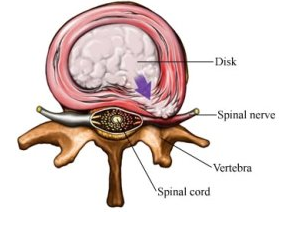 The bigger the bulge the better
