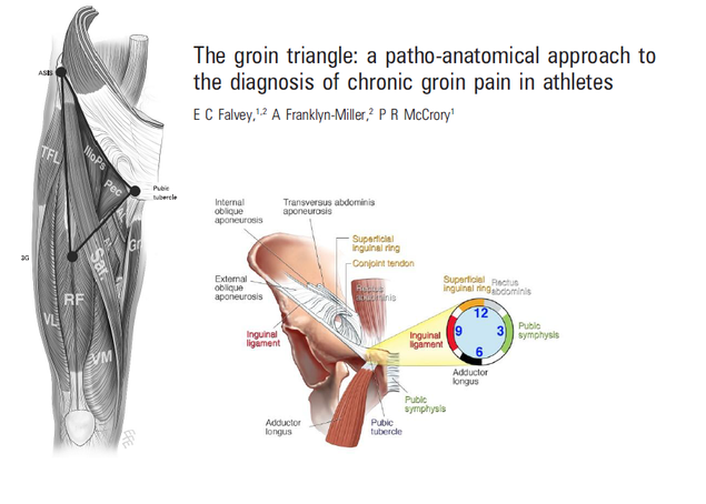 Hip: Athletic Groin Pain Part 1 — Rayner & Smale