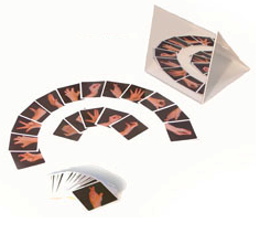 Vanilla flash cards. Image courtesy of Google images . 