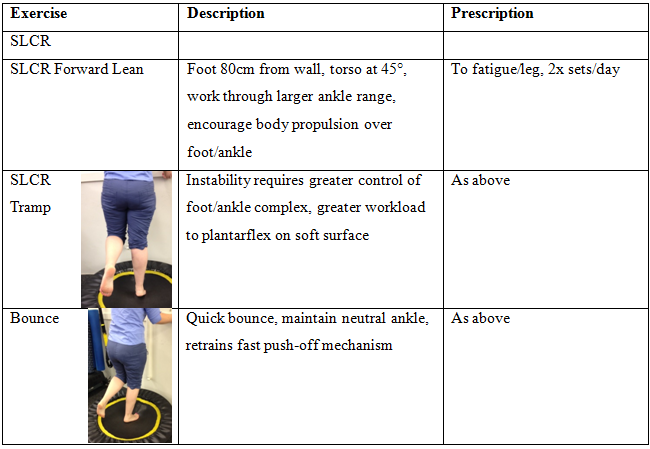 Single Leg Calf Raise Exercise Progressions - targeting medial gastrocnemius &amp; soleus, progress once patient achieves 25 reps/leg, maintaining good technique.