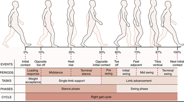 Image courtesy of Google Images