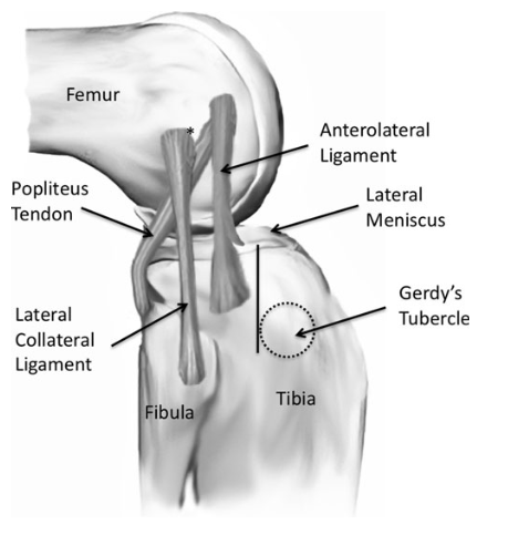 Image source: (Vincent et al., 2012, p. 149)