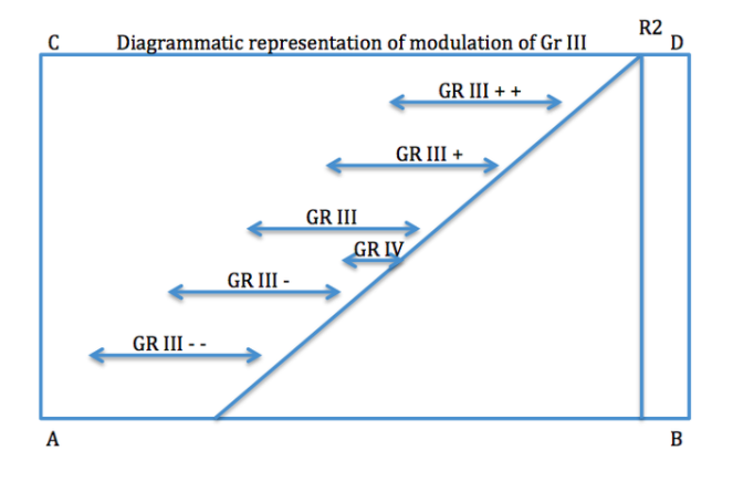 Screen Shot 2017-12-22 at 12.17.03 PM.png