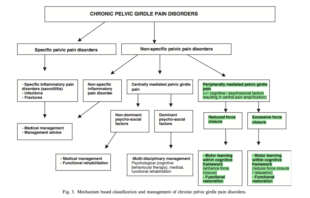 Clinical reasoning pathway (O’Sullivan &amp; Beales., 2007a, p.90)