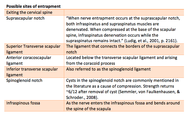 Screen Shot 2018-05-10 at 8.47.44 AM.png
