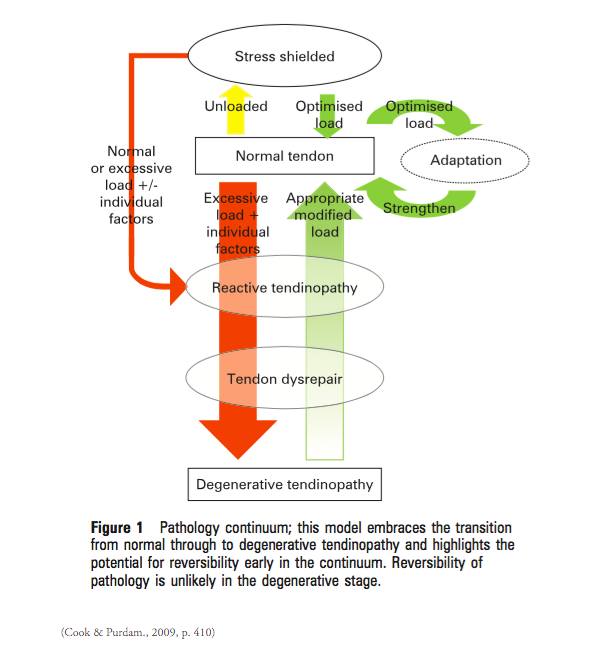 Screen Shot 2018-05-28 at 1.22.09 PM.png