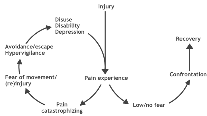 Fear Avoidance Model - Vlaeyen (2016)