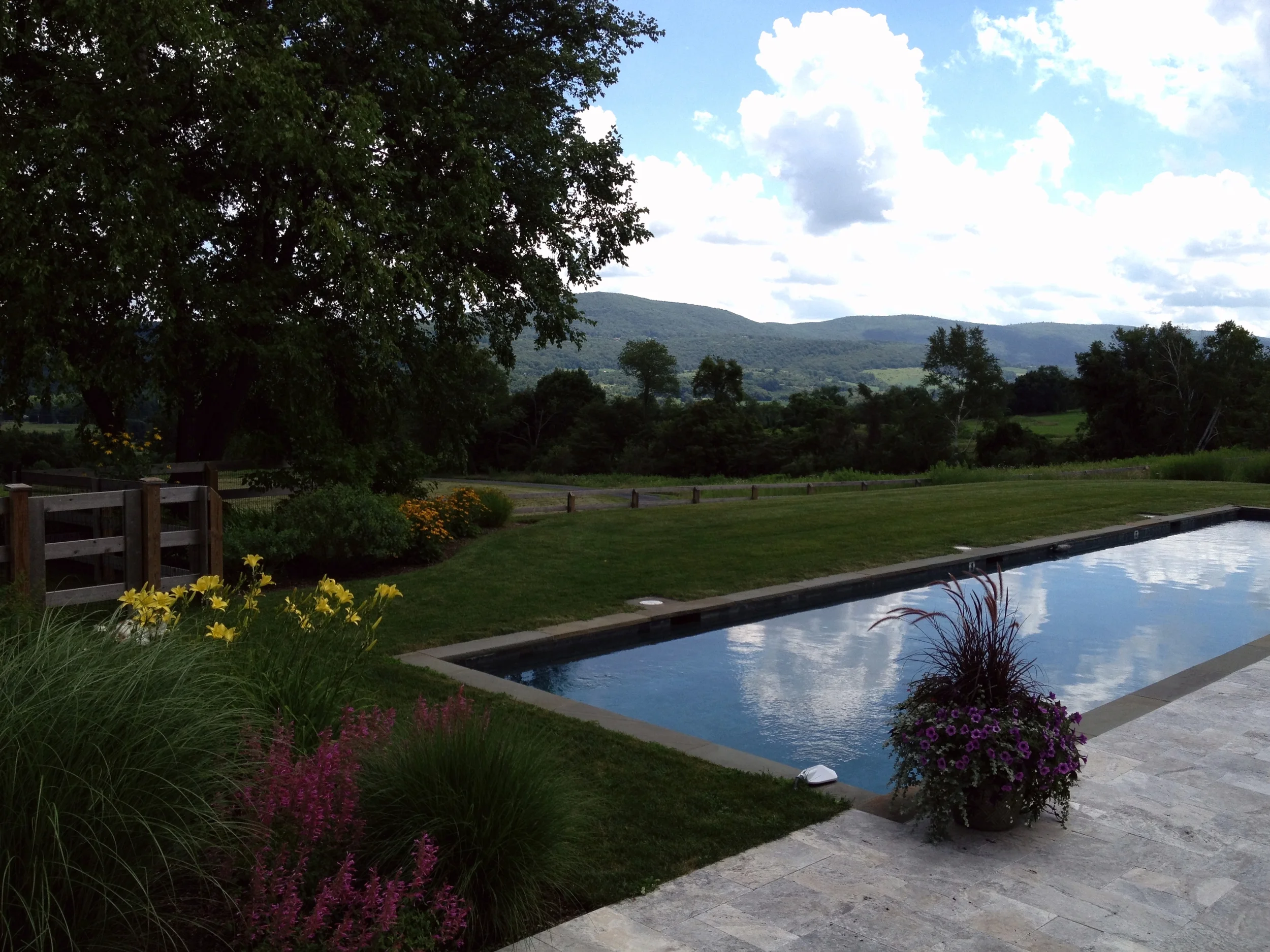 New pool fence set lower on the slope to open the view
